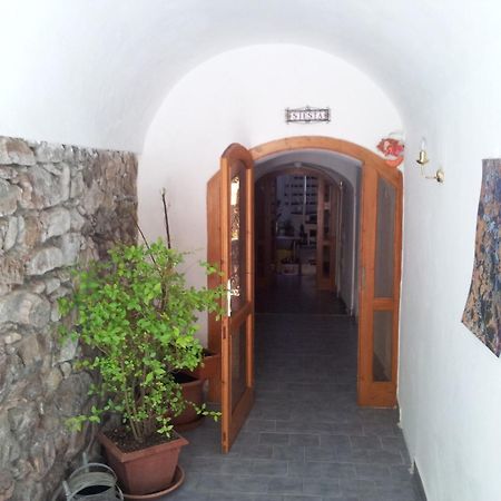 Pension Siesta Třeboň Buitenkant foto